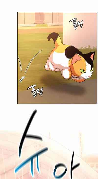 第453頁圖