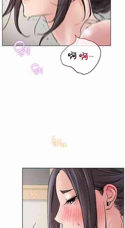 第537頁圖