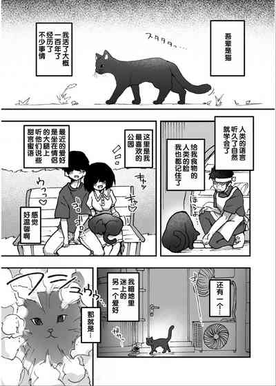 第33頁 封面 - HaSM.cc