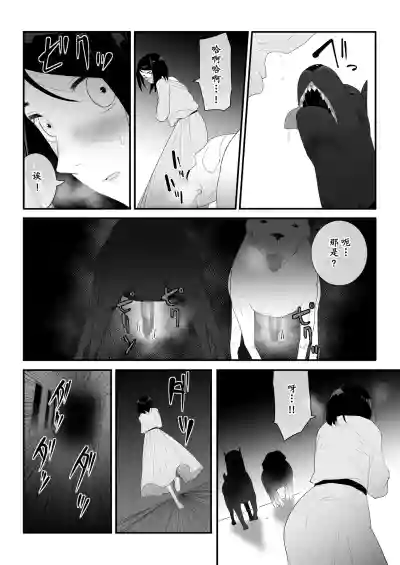 第17页图