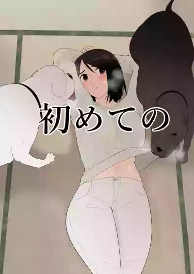 第1页图