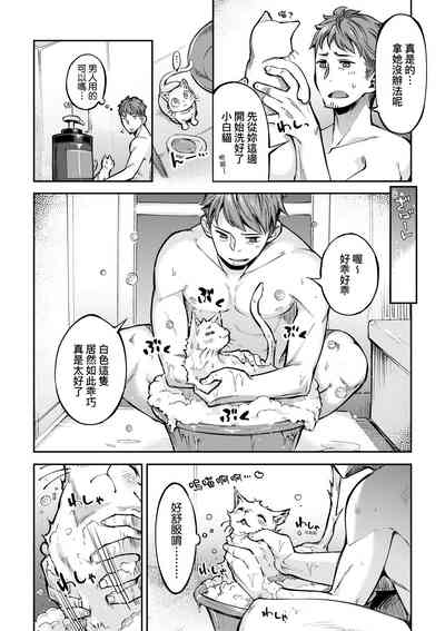 第141頁圖