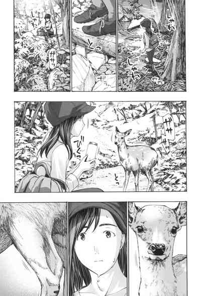 第125頁圖