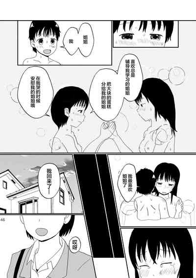 第45頁圖