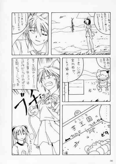 第29頁圖
