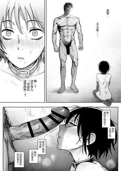 第37頁圖