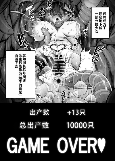 第41頁圖