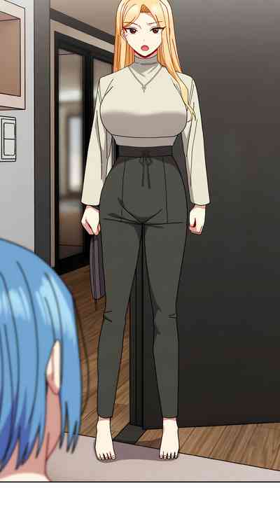 第493頁圖