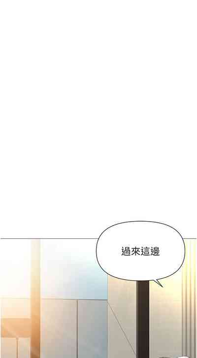第321頁圖