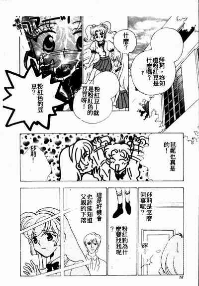 第17页图