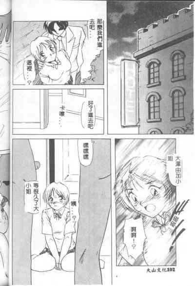 第101頁圖
