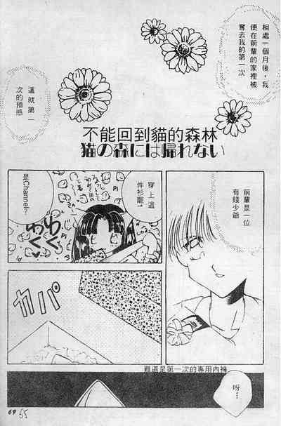 第65頁圖