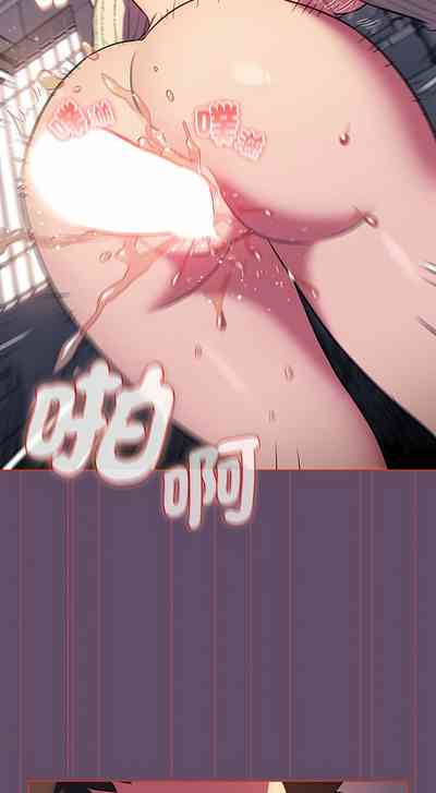 第333页图