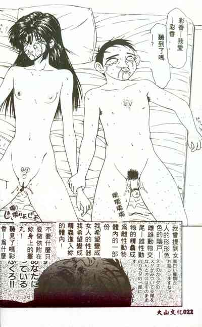 第21頁圖