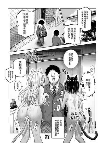 第41頁圖