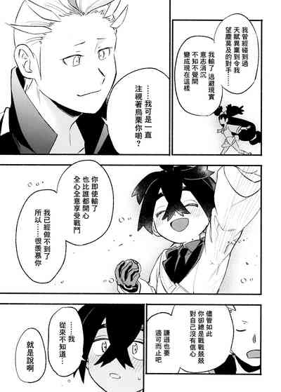 第33页图