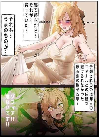 第13頁圖