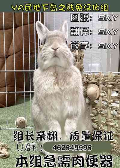 第41页图