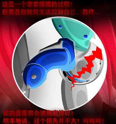 第133頁圖