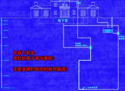 第217頁圖