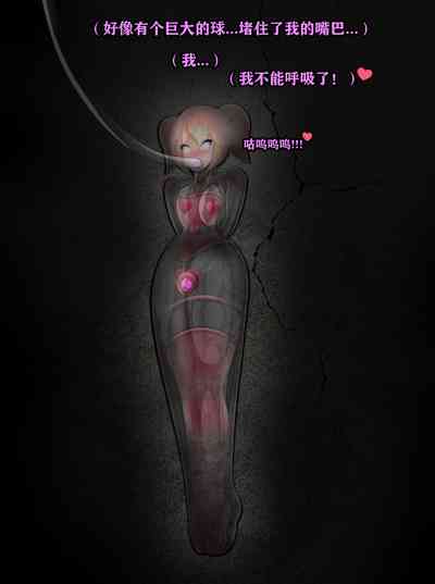 第285頁圖