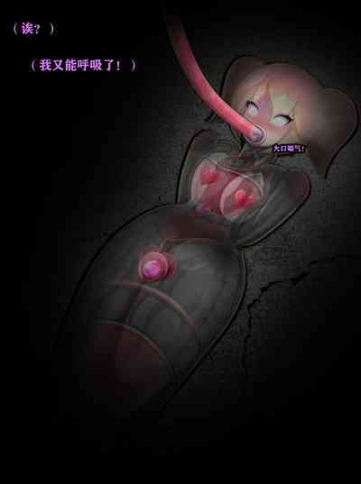 第333頁圖