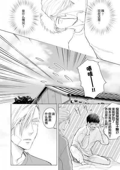 第41頁圖