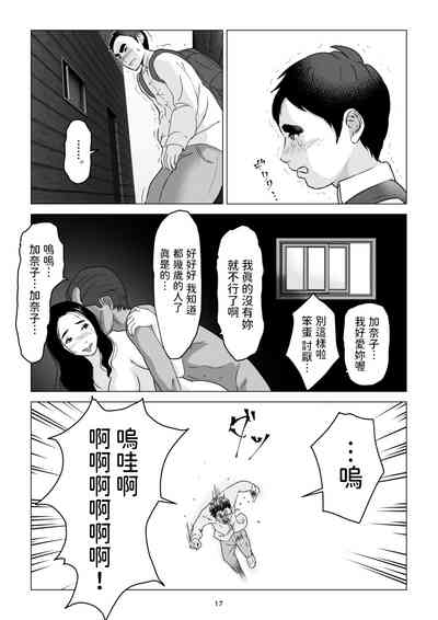 第17页图