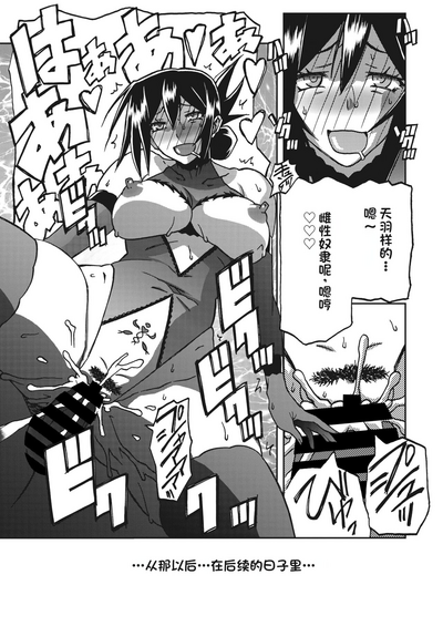 第273頁圖