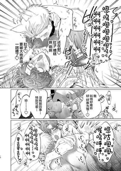 第13页图