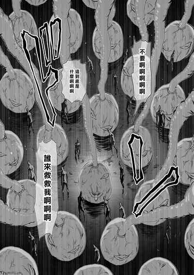 第81頁圖