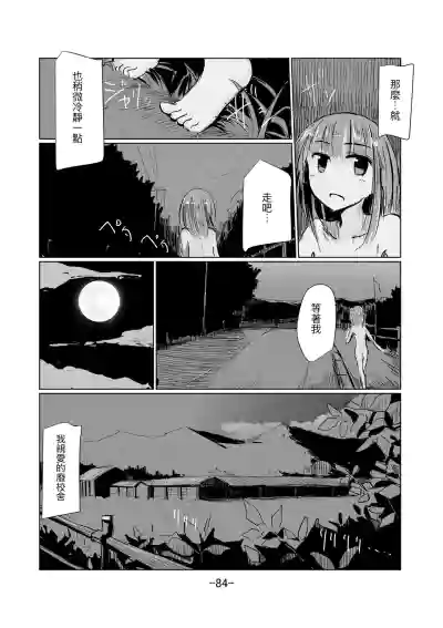 第85頁圖