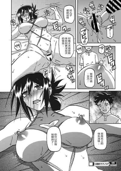 第221頁圖
