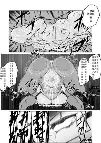 第17页图