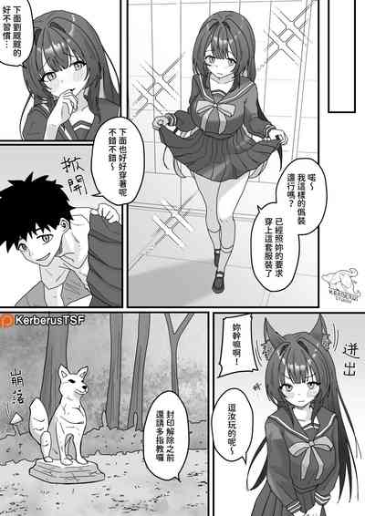 第17頁圖
