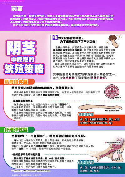 第169頁 封面 - HaSM.cc