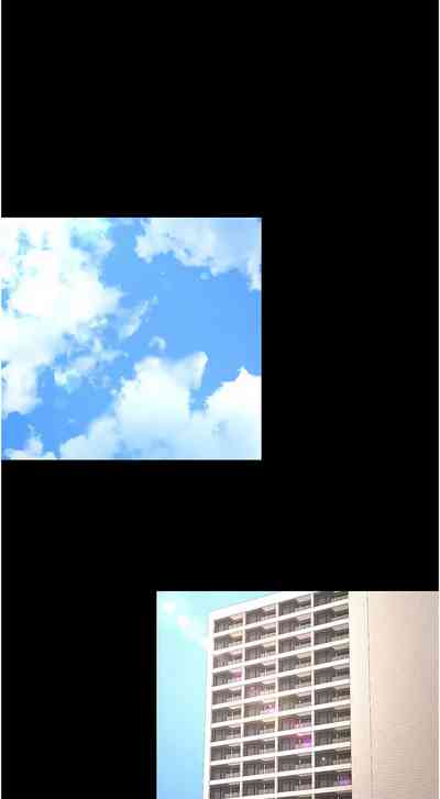 第493頁圖