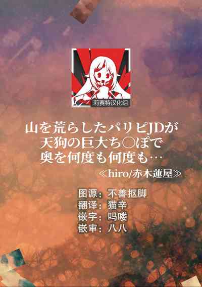 第1页图