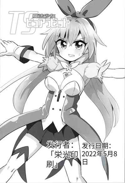 第33頁圖