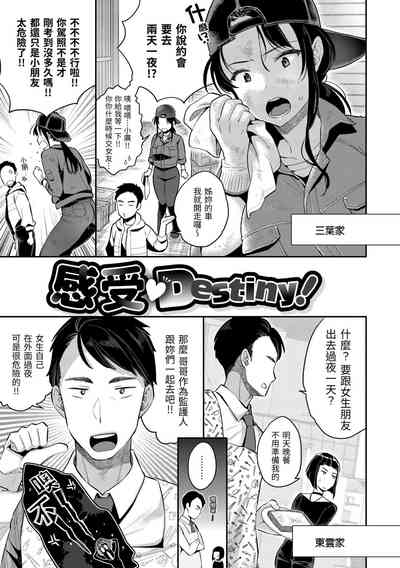 第141頁圖
