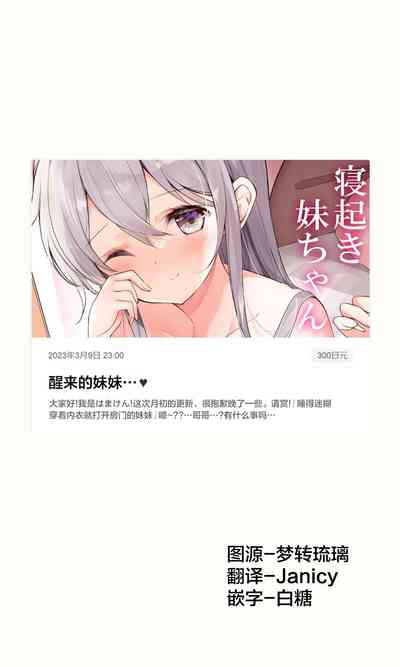 第509頁圖