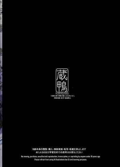 第33頁圖