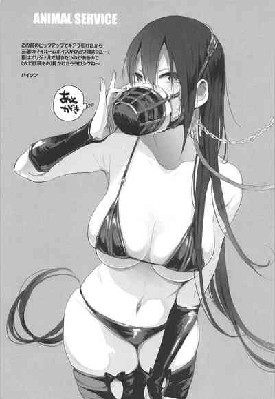 第257頁圖