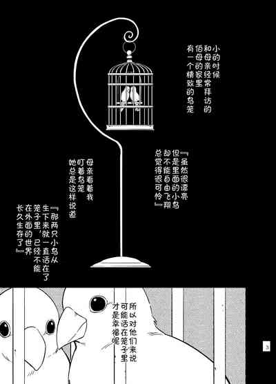 第1页图