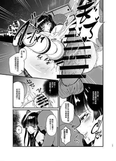 第13页图