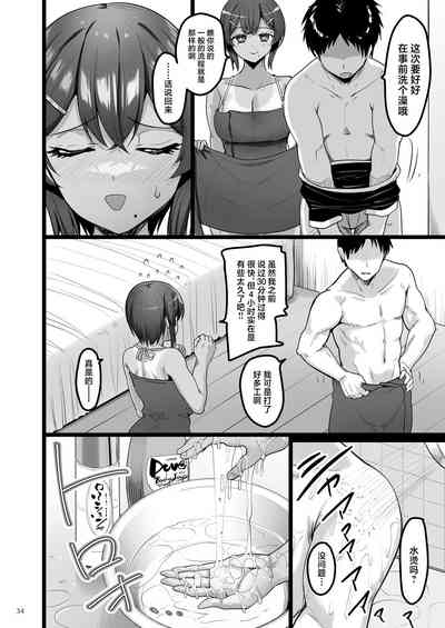 第33页图