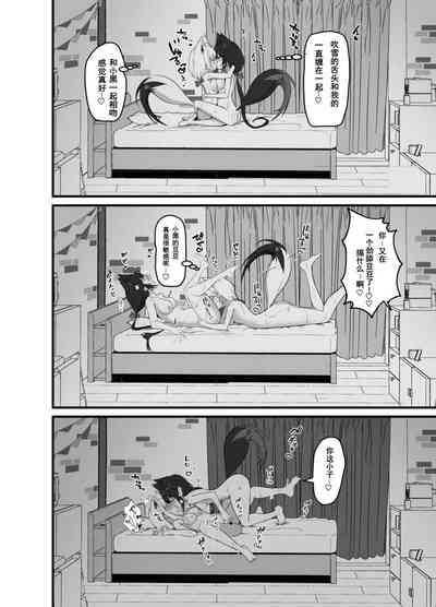 第17頁圖
