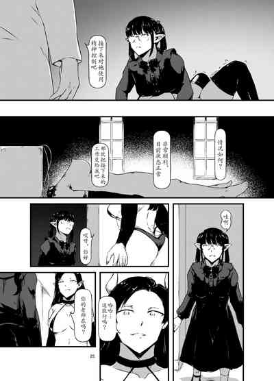 第25頁圖