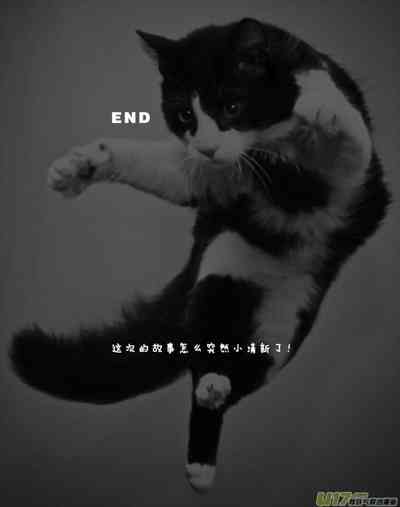第285頁圖