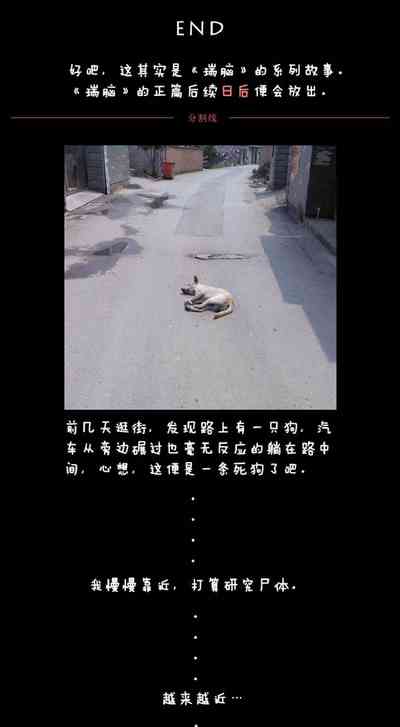 第433頁圖